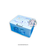 Caja Sanrio Oficial Cinnamoroll